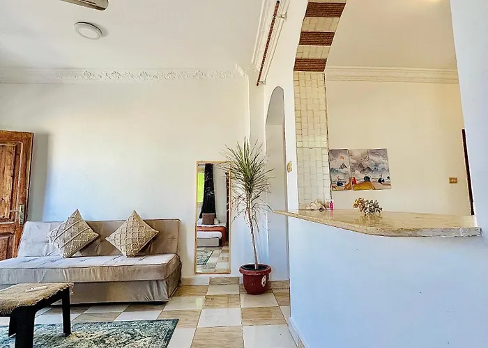 Nook Studio-zarnouk *