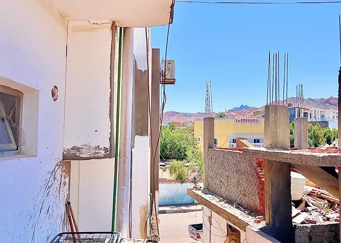 Nook Studio-zarnouk دهب