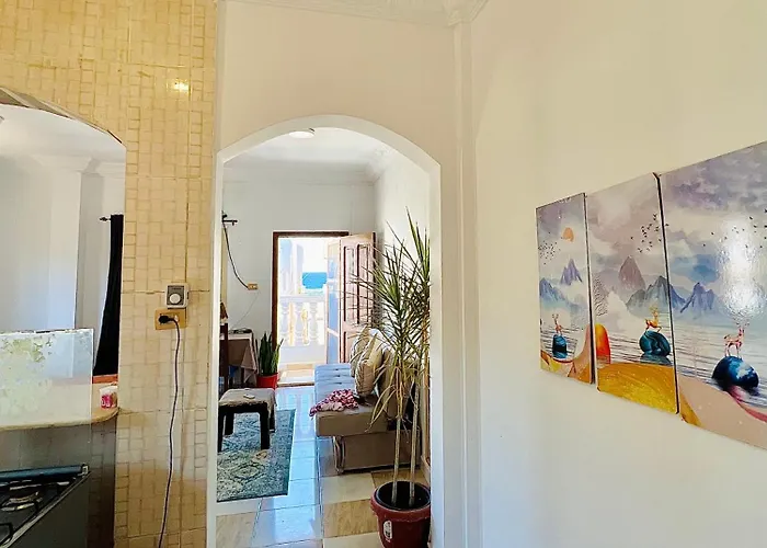 Nook Studio-zarnouk دهب