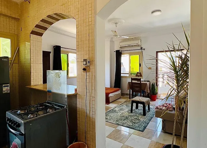 Nook Studio-zarnouk * دهب