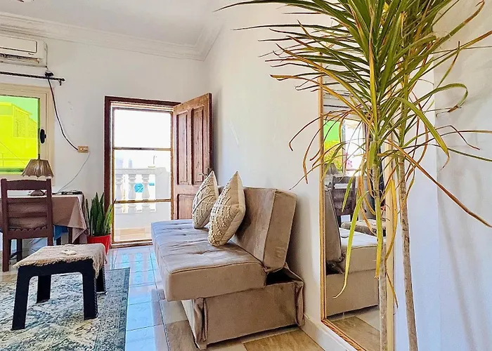 Nook Studio-zarnouk دهب
